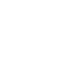 Cattle Image